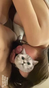 伊芙莲嘉