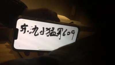 荡的笔顺